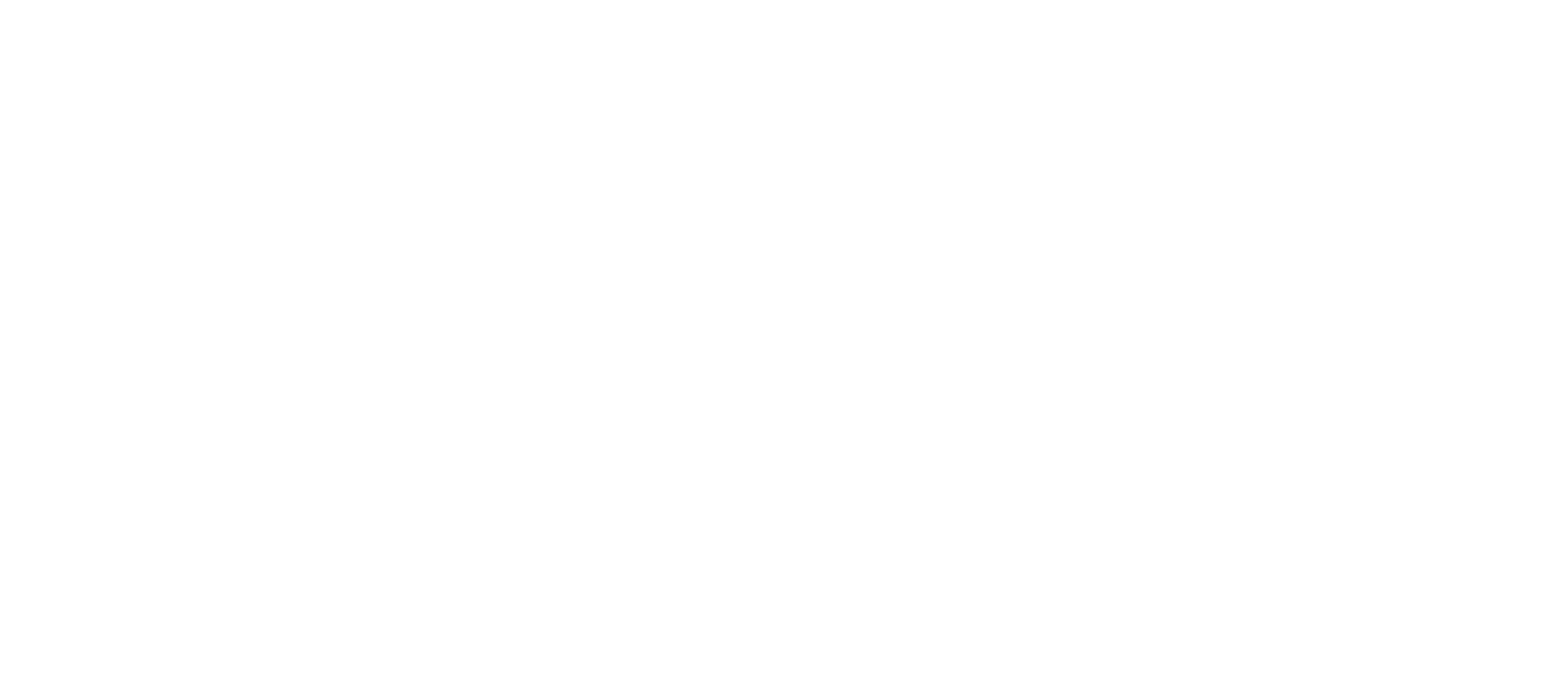 ACCI White Logo